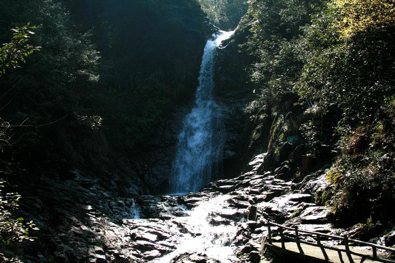 小僵尸射飞鸟